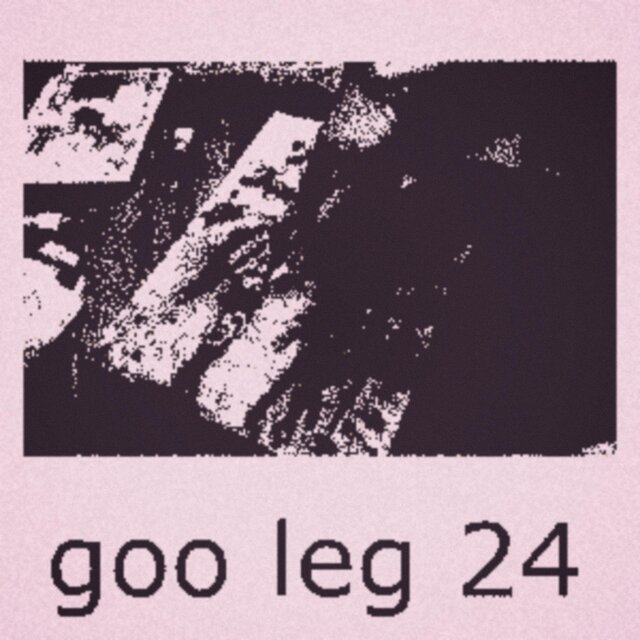 GOO LEG 24