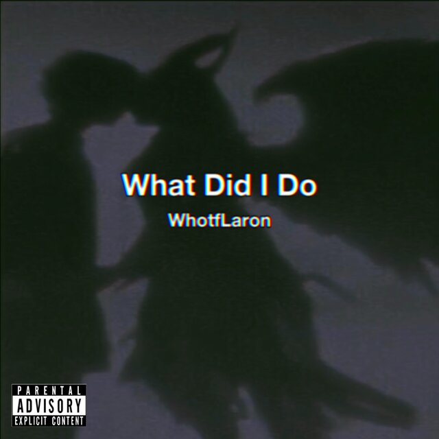 What Did I Do