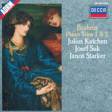 Brahms: Piano Trio No. 1 in B, Op. 8 - 3. Adagio