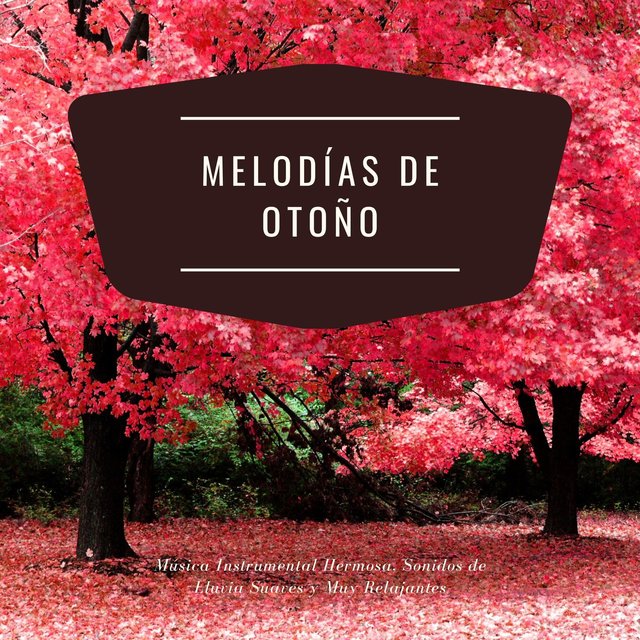 Melodías de Otoño: Música Instrumental Hermosa, Sonidos de Lluvia Suaves y Muy Relajantes