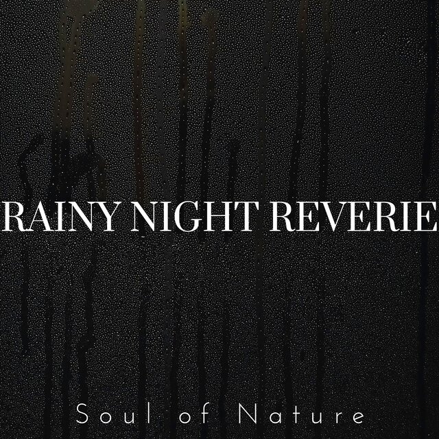 Rainy Night Reverie