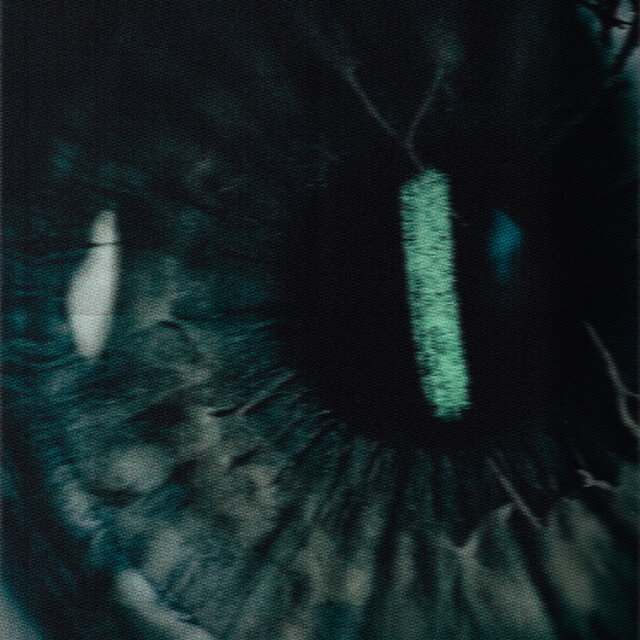 CHRYSALIDE (Phase I)