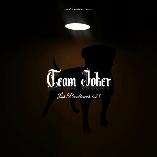 Team Joker