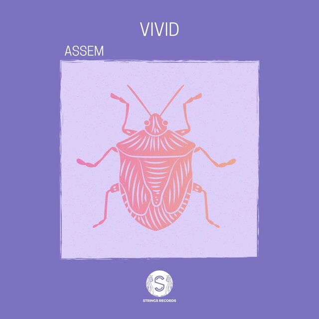 Vivid
