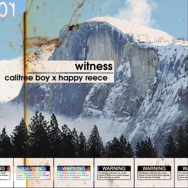 Witness