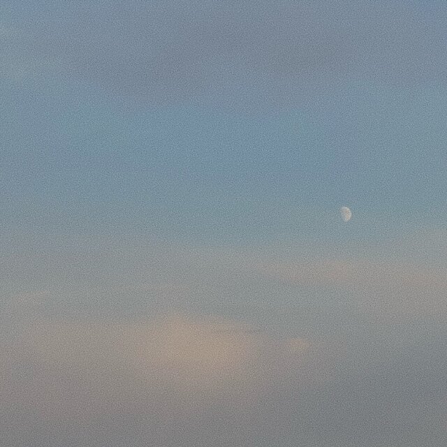 beneath a quiet sky