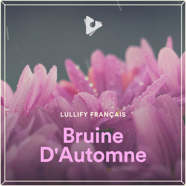 Bruine D'Automne