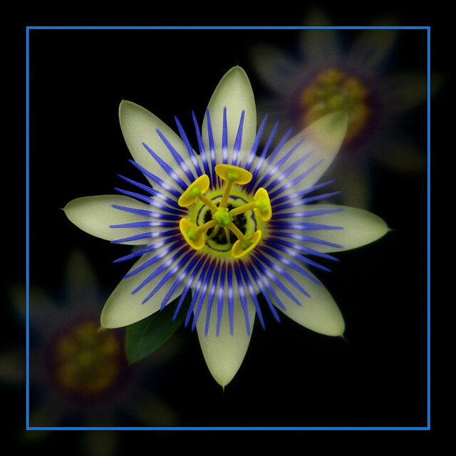 UNDERDOSE2: IN THE GARDEN SLEEPS A MESSENGER