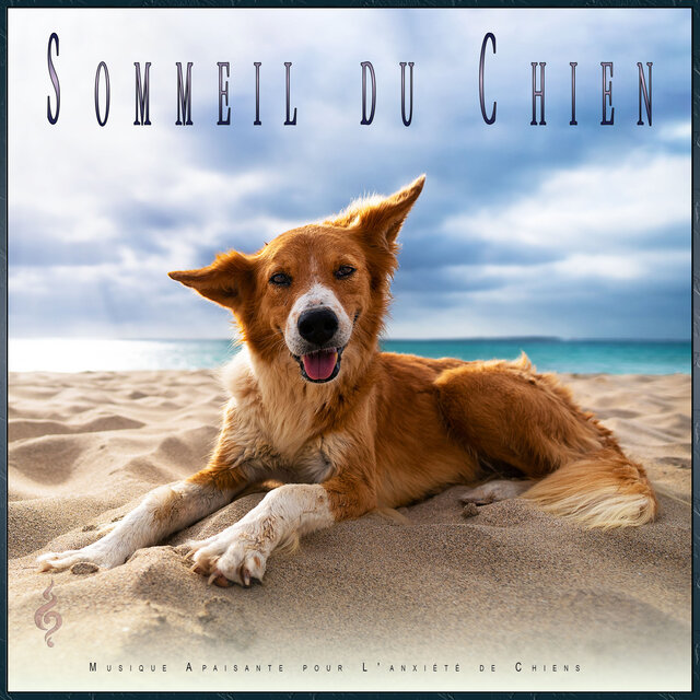 Sommeil du Chien: Musique Apaisante pour L'anxiété de Chiens