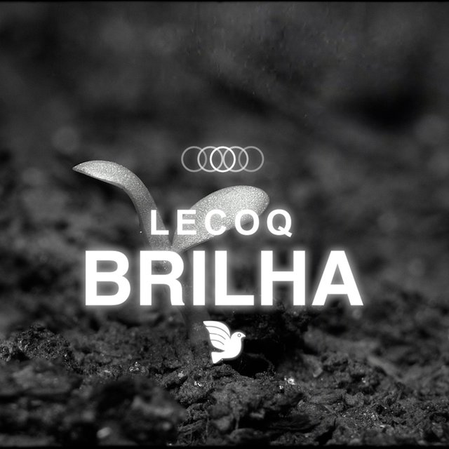 Brilha