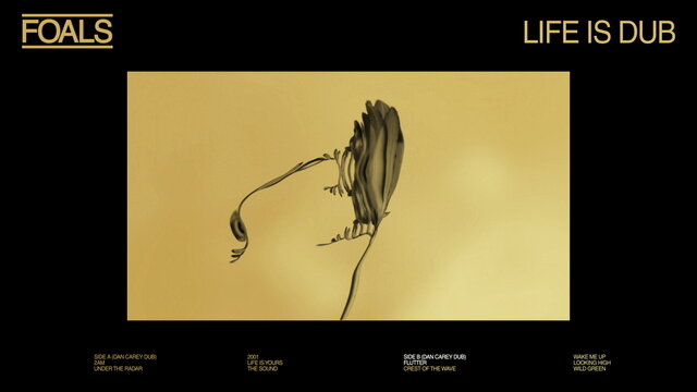 Flutter (Dan Carey Dub) [Visualiser]