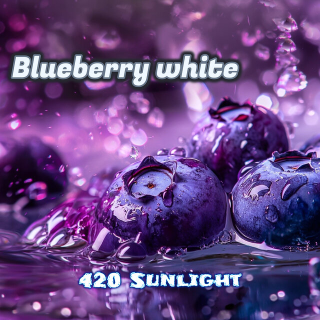 Blueberry White