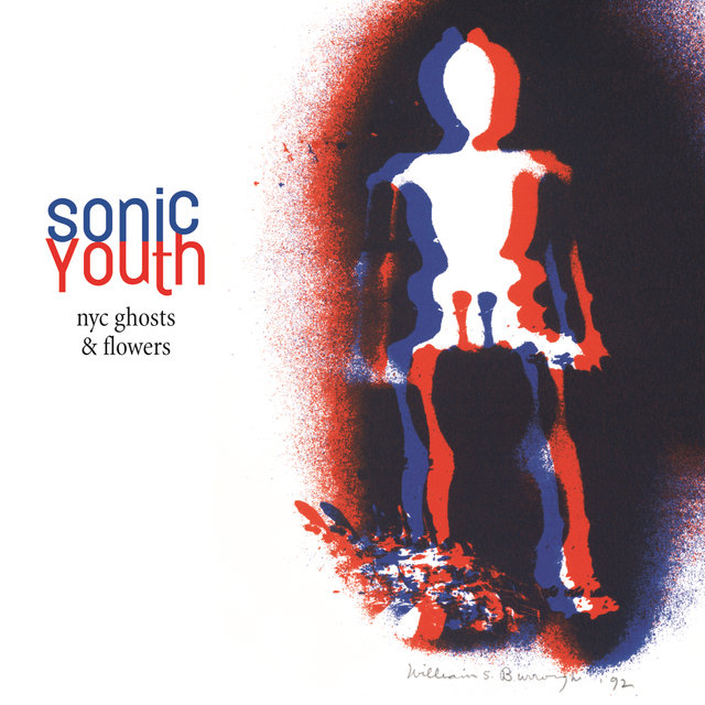 Cover art for album NYC Ghosts & Flowers by Sonic Youth