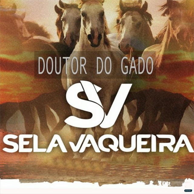 Doutor do Gado