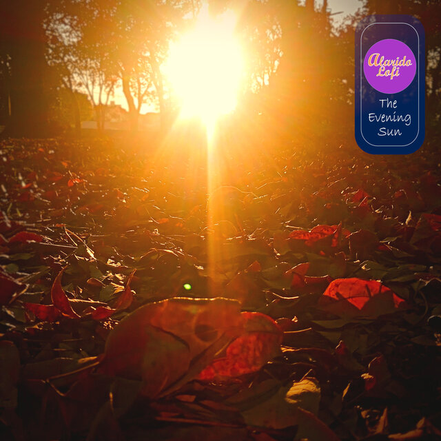 The Evening Sun