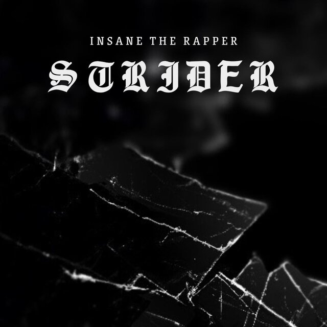 Strider