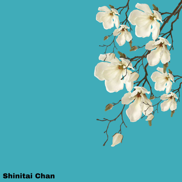 Shinitai Chan