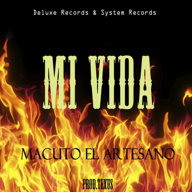 Mi Vida
