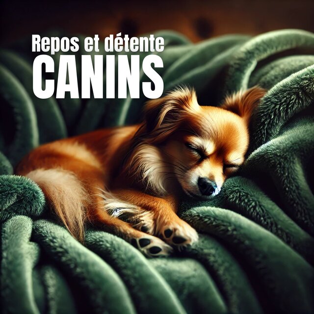 Repos et détente canins