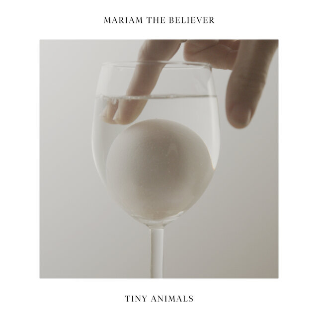 Tiny Animals
