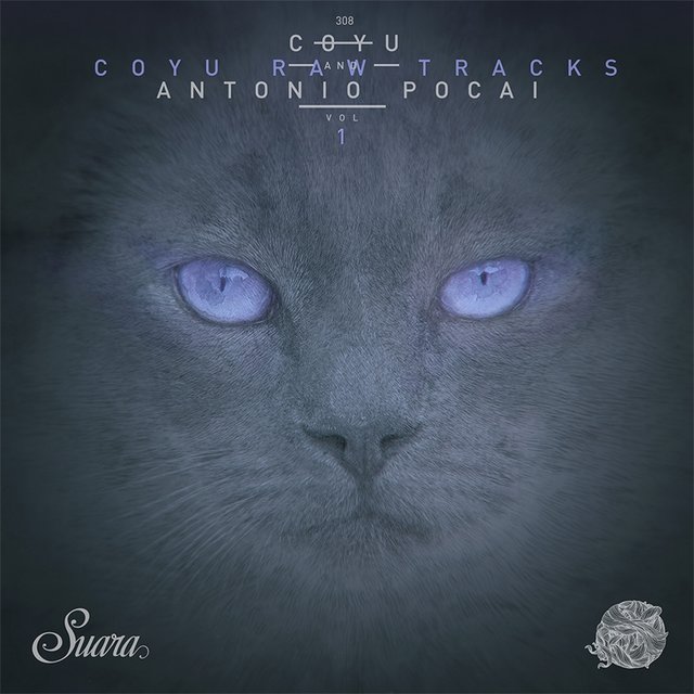 Transportador (Coyu Raw Mix)