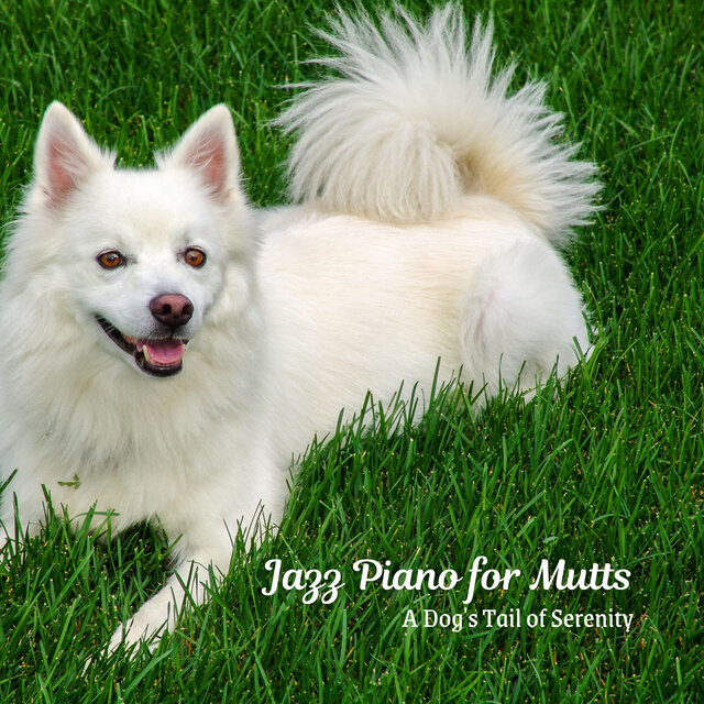 Jazz Piano for Mutts: A Dog's Tail of Serenity