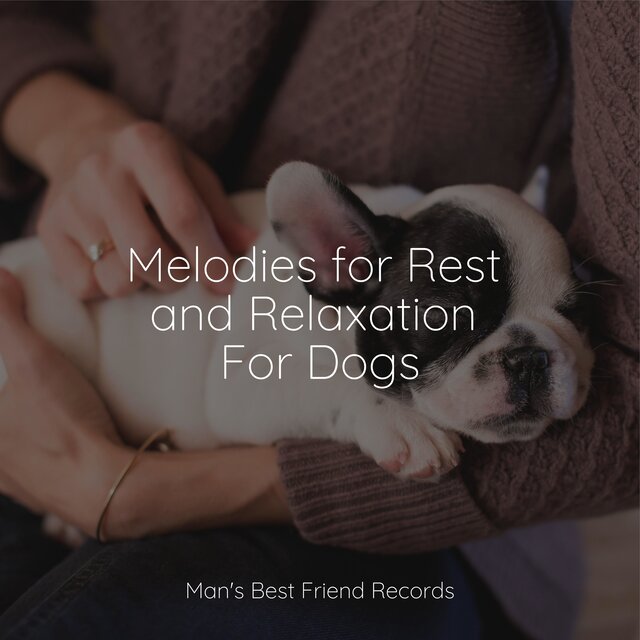 Melodies for Rest and Relaxation For Dogs