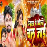 Pandal Me Goli Chal Jayi