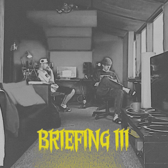 BRIEFING 3