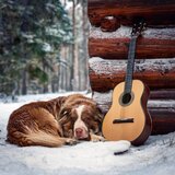 The Companion’s Peaceful Song