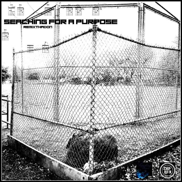 Searching For A Purpose 