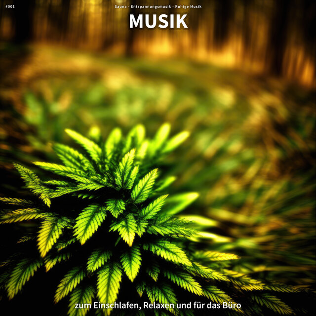 #001 Musik zum Einschlafen, Relaxen und für das Büro