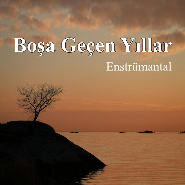 Boşa Geçen Yıllar