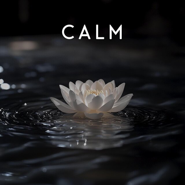 Calm Comfort Dream