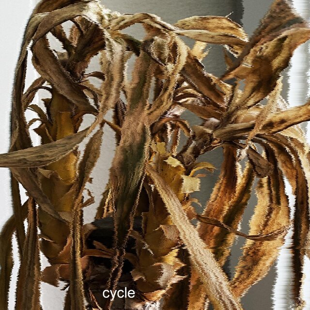 cycle