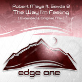 The Way I'm Feeling (Extended Mix)