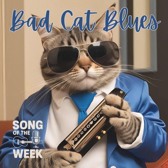 Bad Cat Blues