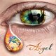Cover art for album Angel by Ed Thorne