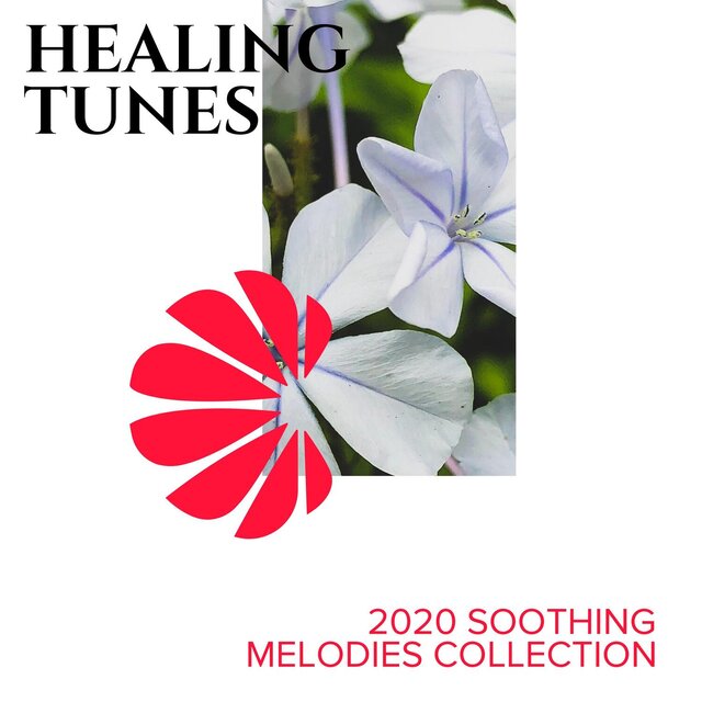 Healing Tunes - 2020 Soothing Melodies Collection