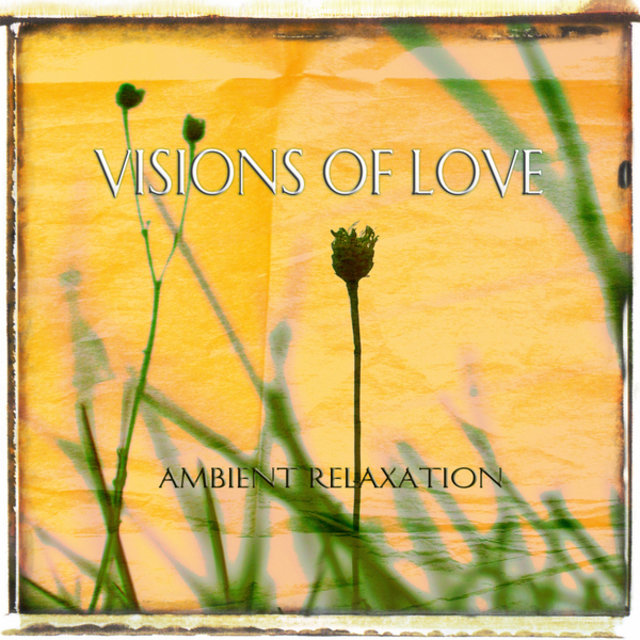 Visions of Love
