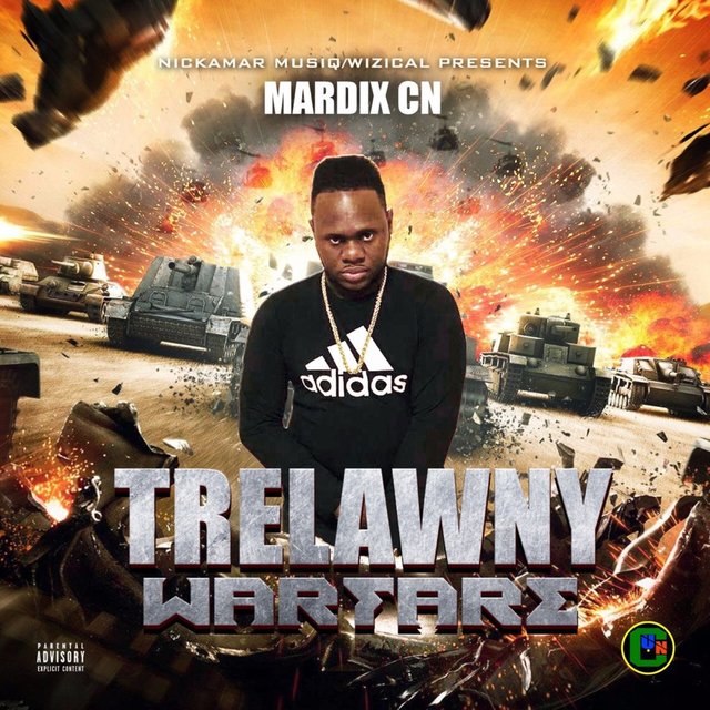 Trelawny Warfare