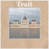 Velars