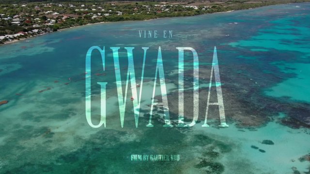 Vine en Gwada