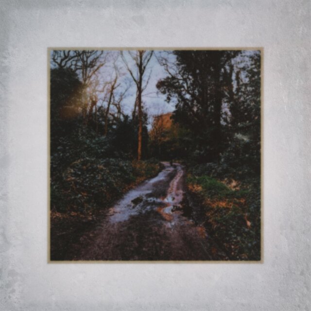 Elyne Road (feat. LEYLAH)