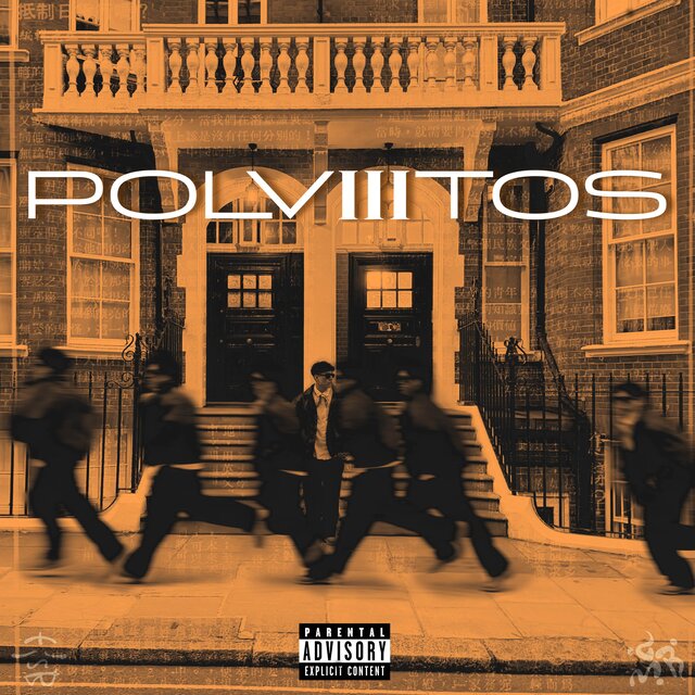 POLVIIITOS