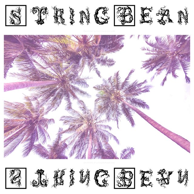 Stringbean On Tidal You can create a simple run out of wire panels, or a more complicated one out of aviary panels. tidal