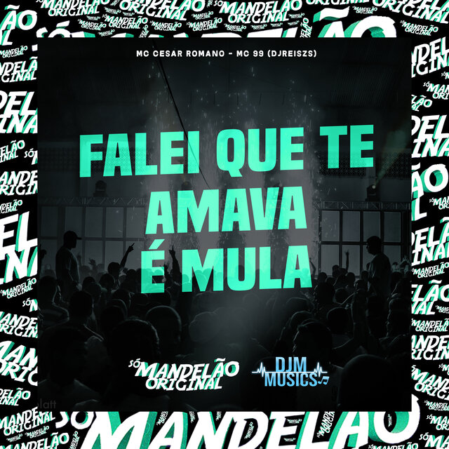 Falei Que Te Amava É Mula