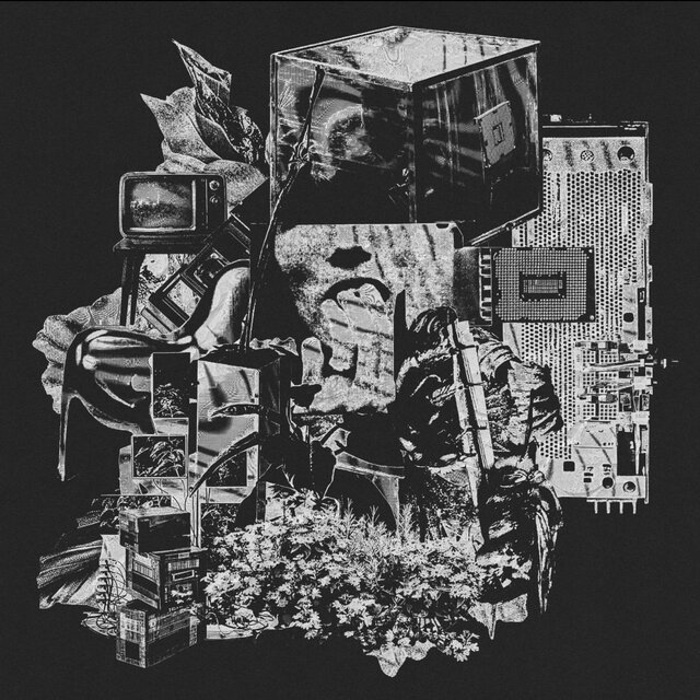 Surgo/Trust Me