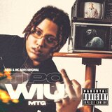 Tipo Wiu MTG