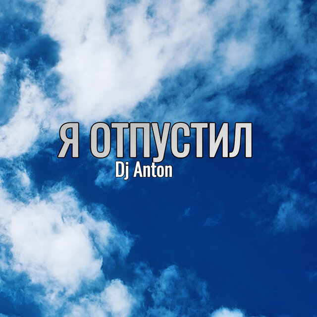 Я отпустил